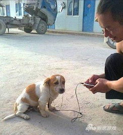  我有姿势我自豪每日囧吐槽我的特点就是话少