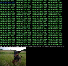  iterm2的小工具命令行中查看图片一键下载远程图片