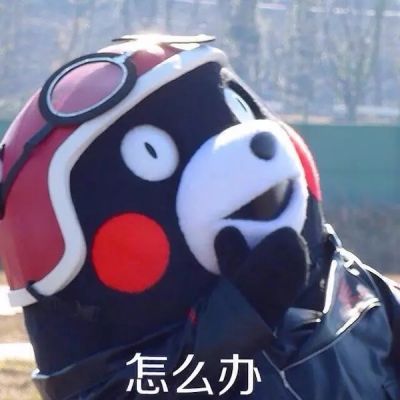  熊本熊搞笑呆萌带字头像2018最新最好的滋味就是耐人寻味