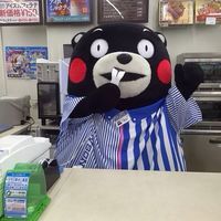  有趣的熊本熊表情包带字单身狗日常表情包