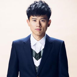  中国最牛的演唱会排名,不是张学友不是刘德华,而是这几位