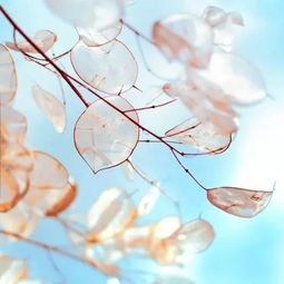  改写了很多人命运的18句话,值得一读