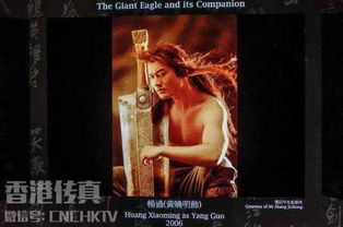  探秘金庸馆除了武侠,金庸居然还写过