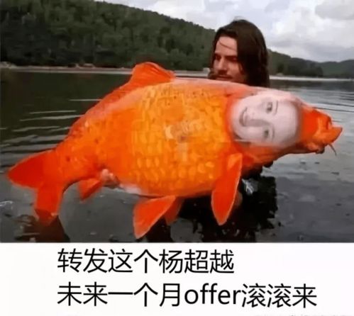  留学生申请季迷信行为大赏