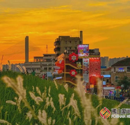  部分有编制佛山这些学校在招人