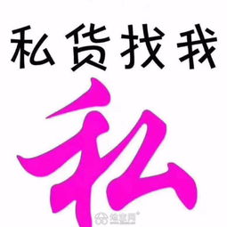  专业空放无需抵押