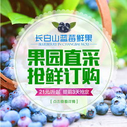  手机端广告