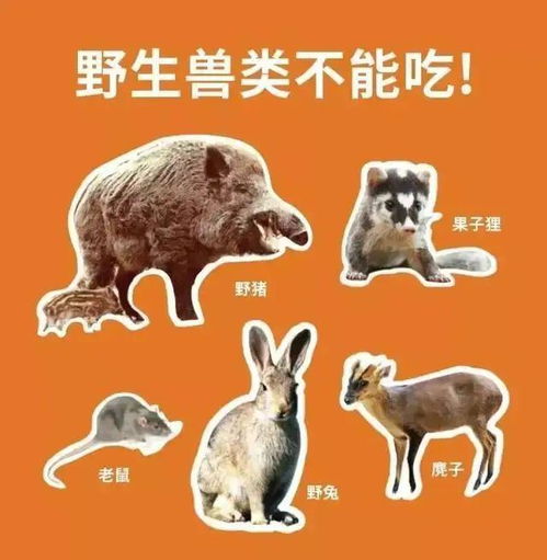  事发青岛四人被刑事强制措施