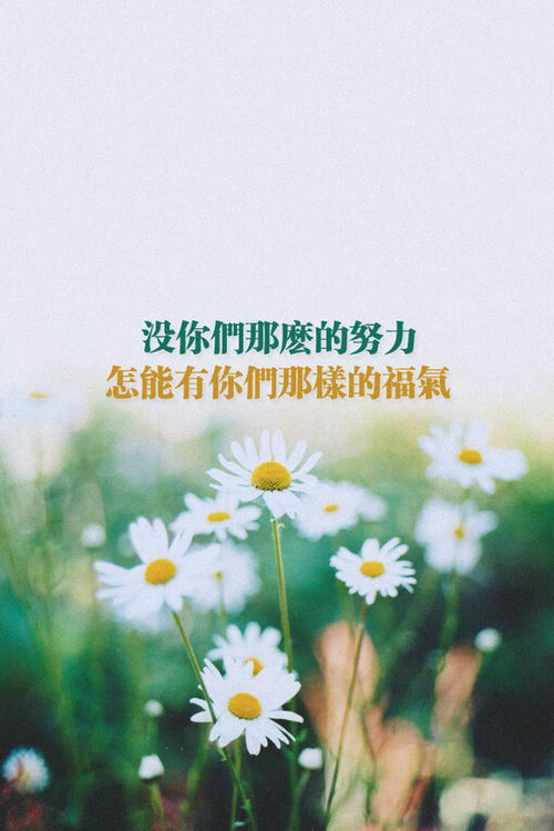  正能量壁纸努力才有福气