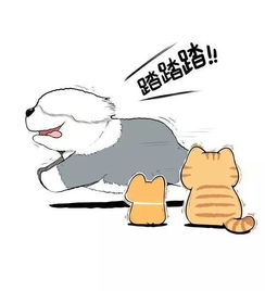  橘猫的世界你不懂就这样抛弃盟友,你的良心不会痛吗
