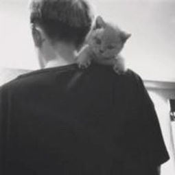  猫控韩系男神暖男冷色系怀旧街拍个堆糖,美好生活研究所