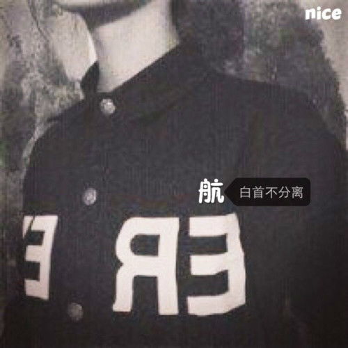  能不能弄一个航一个燕的情侣头像