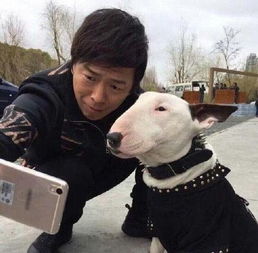 孙红雷同款狗的头像颜王