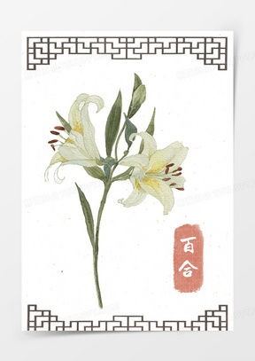  百合花图像微信头像大全