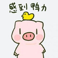  呆萌猪头像微信头像微信头像图片大全
