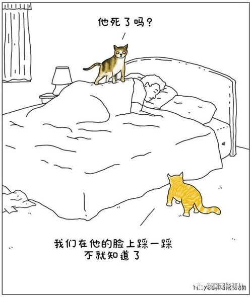  如果动物们会说话果然个个都是蠢萌沙雕蛇精病