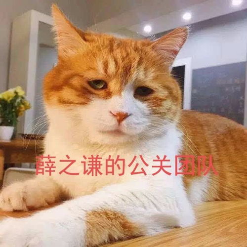 孤独黑暗的猫头像欧拉