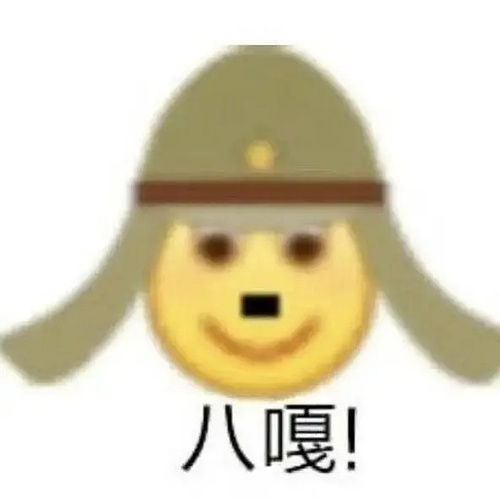  提问的怕不是个傻子