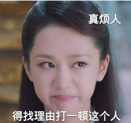 张雪迎狗十三首映,章子怡等人发力支持,杨紫发耐人寻味动态