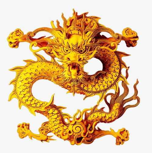 微信头像金龙图片