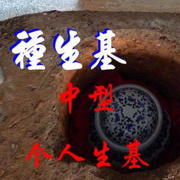 道家风景头像求子