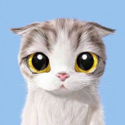  猫狗情侣头像一左一右可爱卖萌一猫一狗搞怪情侣头像
