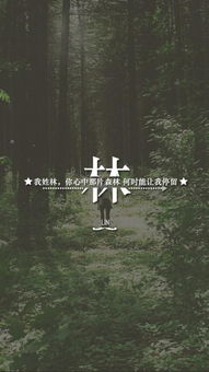  一句情话,镶嵌你的姓氏