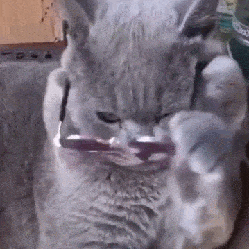  网友想换一块吊顶,猫咪却趁机钻了进去,把一片吊顶全都踩塌了