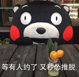  穷人的苦熊本熊斗图表情包搞笑图片搜狐搞笑搜狐网
