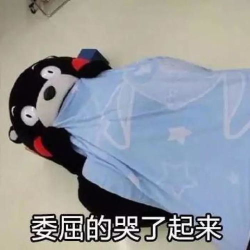 熊本熊头像不带字读书