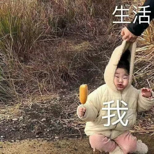 武林外传头像沙雕姐妹摄