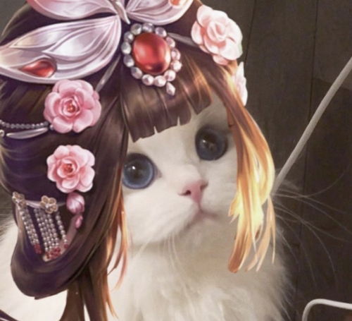  王者荣耀猫猫头像更新一波
