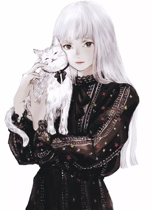 少女与猫插画师shirone
