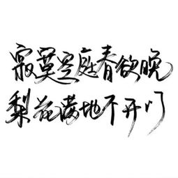  小清新文艺手堆糖,美图壁纸兴趣社区