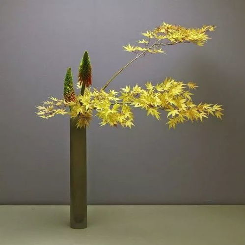  佛系插花,不简单