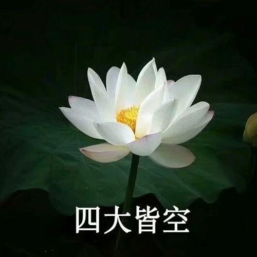  你找不到的中老年潮流头像来了