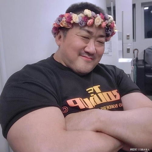 适合大叔的微信头像马东