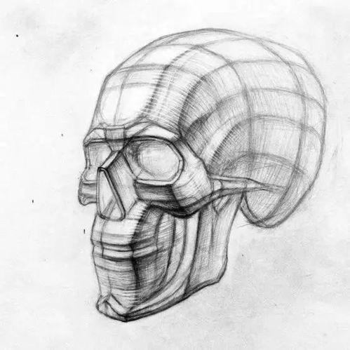  素描结构,几何体石膏头骨等总有你先看的