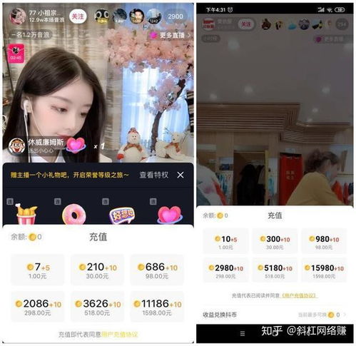 娱乐主播头像打赏