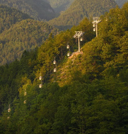  高考放榜,青春不散场,一起来巴山大峡谷留下独家记忆