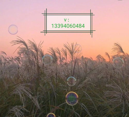  组建了一个韩代交流群,是自己人肉飞的可以拉,批...