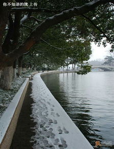  冬天的南京玄武湖公园