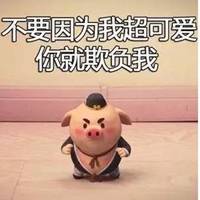  萌萌哒猪小屁图片大全超萌可爱猪小屁高清图片