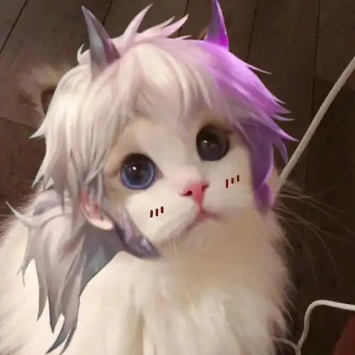 王者荣耀街头猫咪 王者荣耀街头猫咪