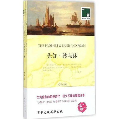  读书追梦探秘博慧教师精神成长的文化空间
