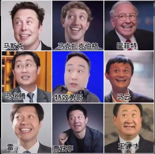 魔性头像蚂蚁