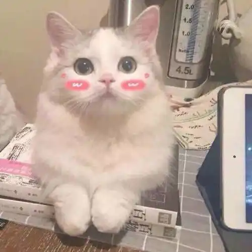  毛孔粗大不要怕这几款平价又好用的收缩毛孔好物推荐给你