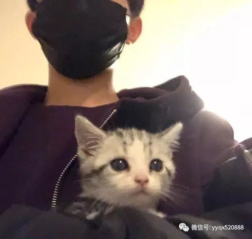  易烊千玺ins又晒猫,被猫咪舔手指,宠溺表示活捉馋猫