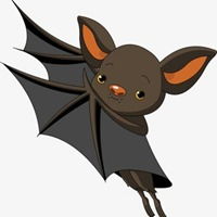  个性蝙蝠头像微信头像图片大全