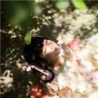 蓝色古风头像女生微信头像图片大全 蓝色古风头像女生微信头像图片大全